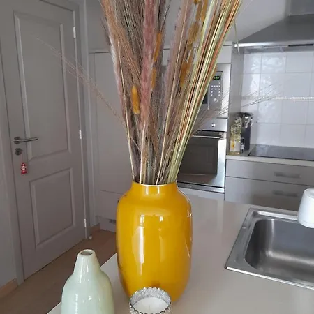 Appartement L'ane *